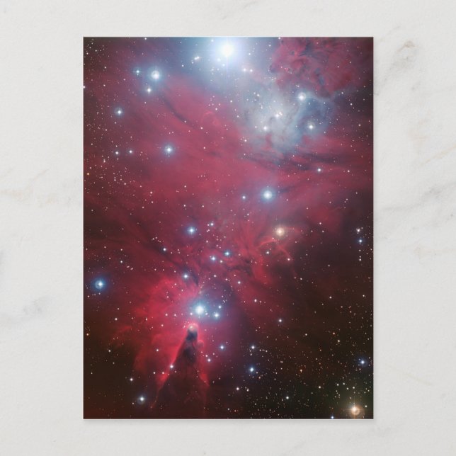 NGC 2264 and the Christmas Tree cluster Holiday Postcard (Front)