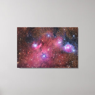NGC 6559 Nebula in Sagittarius Canvas Print
