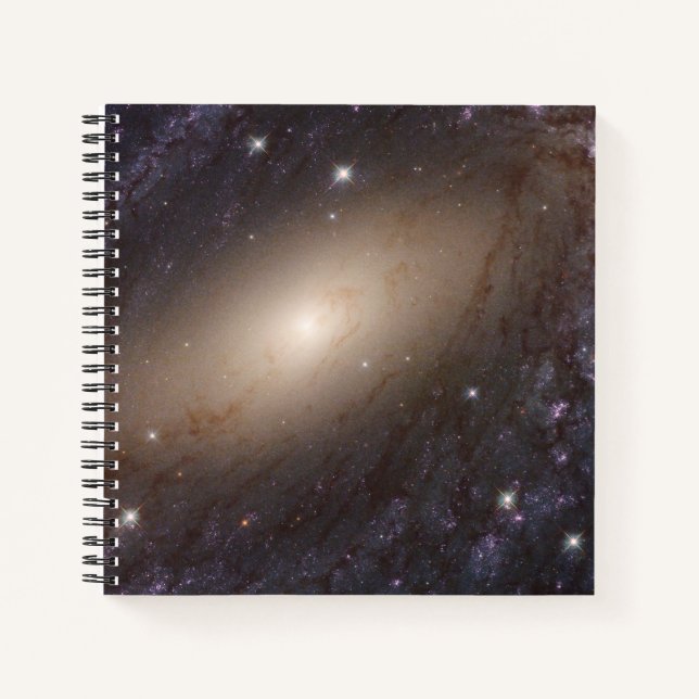 Ngc 6744, 30 Million Light Years Away. Notebook (Front)