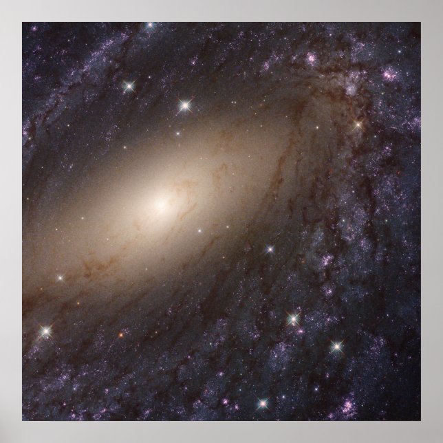Ngc 6744, 30 Million Light Years Away. Poster (Front)