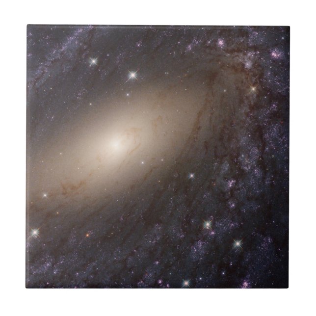 Ngc 6744, 30 Million Light Years Away. Tile (Front)