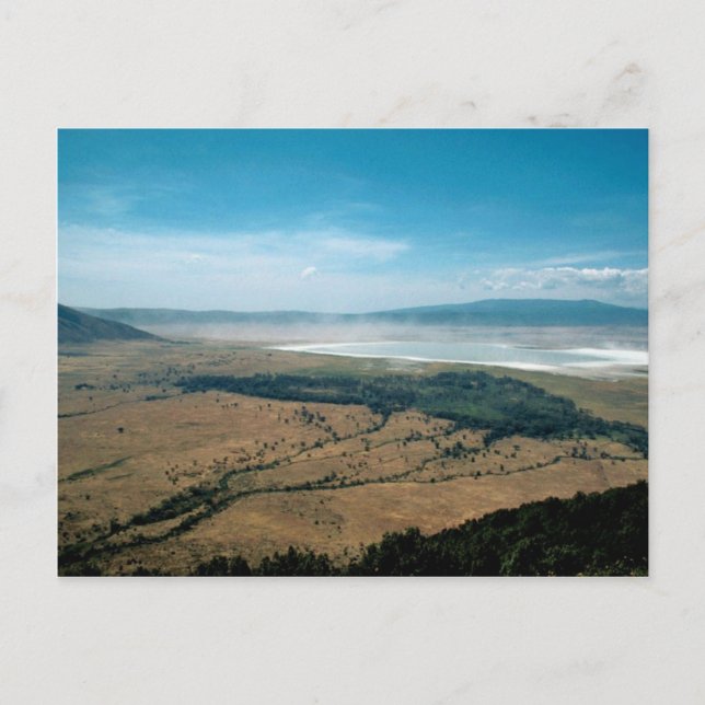 Ngorongoro Crater Postcard (Front)
