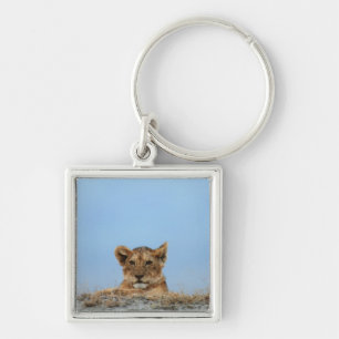 Ngorongoro Crater, Tanzania Key Ring