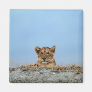 Ngorongoro Crater, Tanzania Magnet