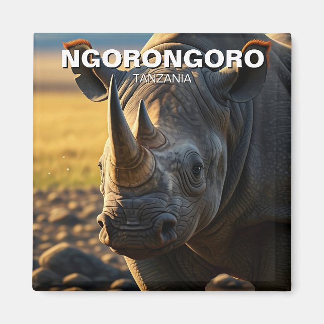 Ngorongoro Crater Tanzania Postcard Magnet (Front)