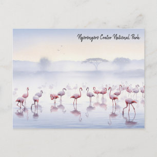 Ngorongoro Tanzania Flamingos Postcard