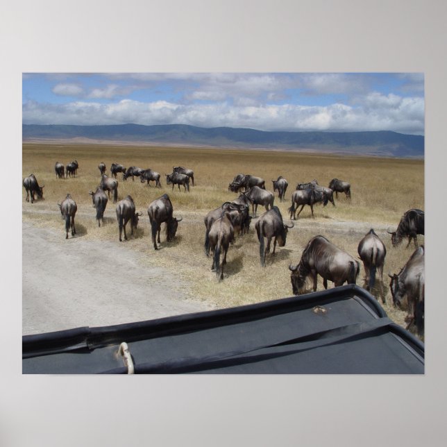 Ngorongoro Wildebeest Poster (Front)