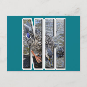 NH NEW HAMPSHIRE POSTCARD