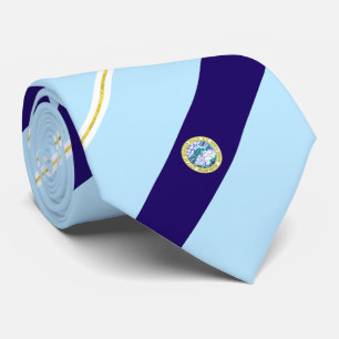 Niagara Falls (New York) city flag Neck Tie