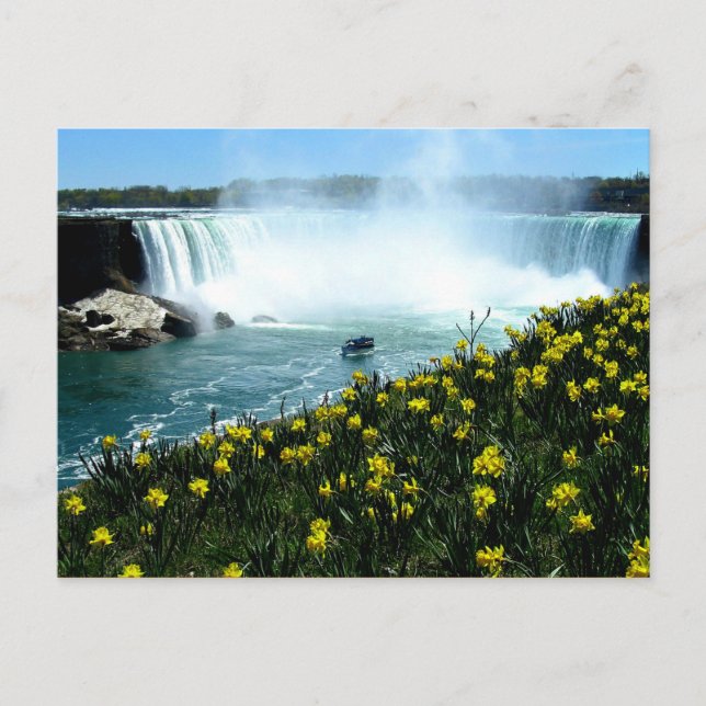 Niagara Falls Postcard (Front)