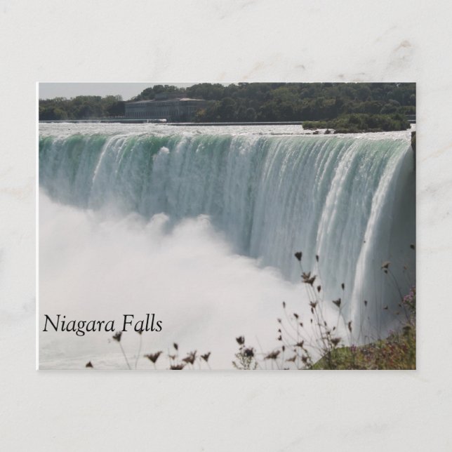 Niagara Falls Postcard (Front)