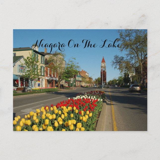 NIAGARA FALLS POSTCARD (Front)