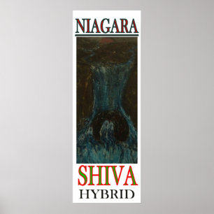 NIAGARA SHIVA HYBRID POSTER