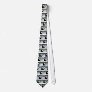 Niagara waterfall tie