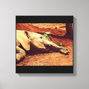 Niarobi Elephant Canvas Print