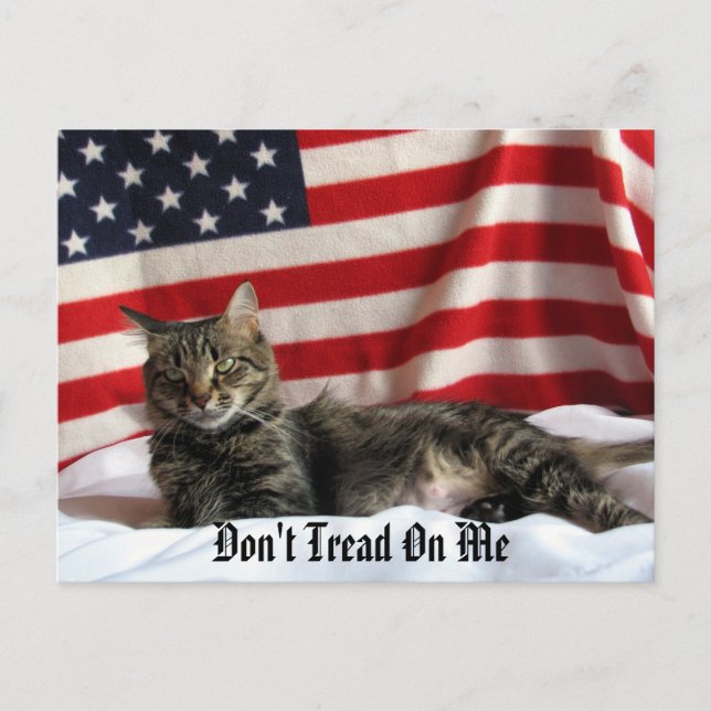 Nia's Political Opinion Postcard (Front)