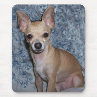 nibblesportrait mouse mat