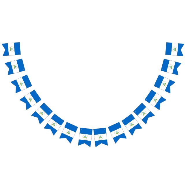 Nicaragua flag (All)