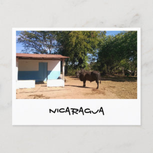 Nicaragua Postcard
