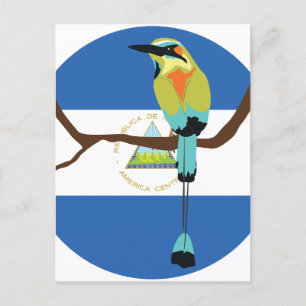 Nicaragua Turquoise-browed motmot Torogoz Postcard