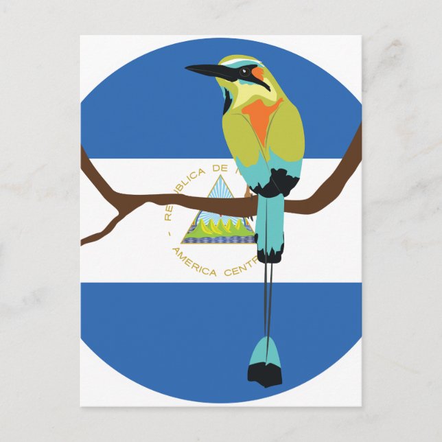 Nicaragua Turquoise-browed motmot Torogoz Postcard (Front)