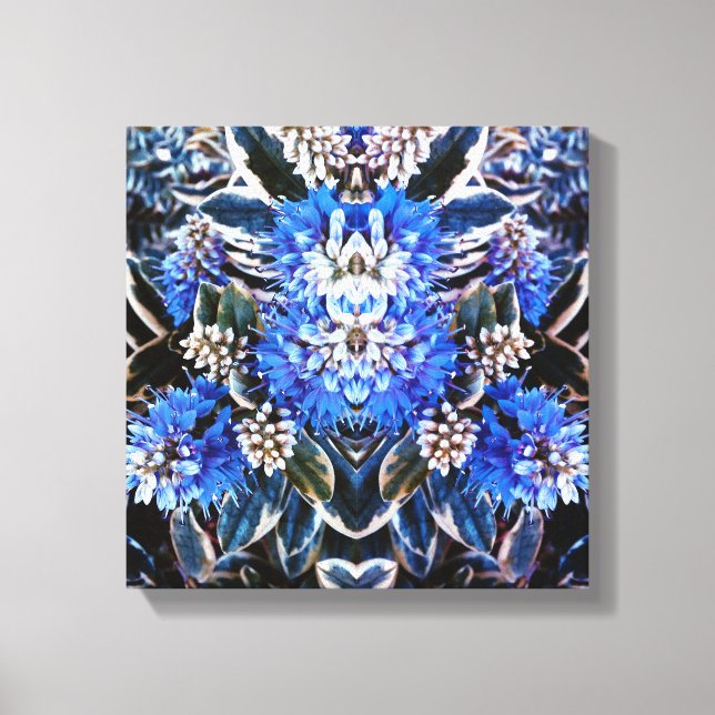 Nice & blue print (Front)