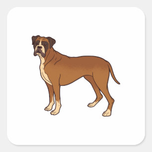 Nice Brown Boxer Dog Breed Design Square Sticker