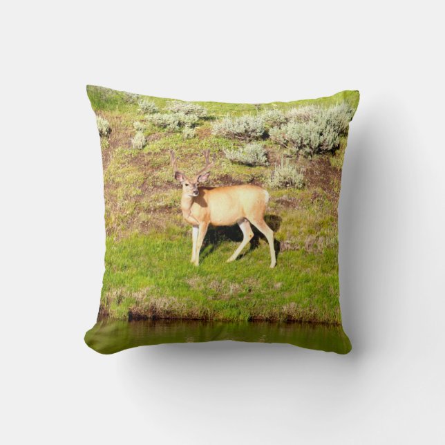 Nice Buck Deer in Velvet Photo Cushion (Front)