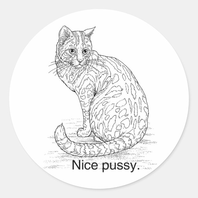 NICE CAT CLASSIC ROUND STICKER (Front)