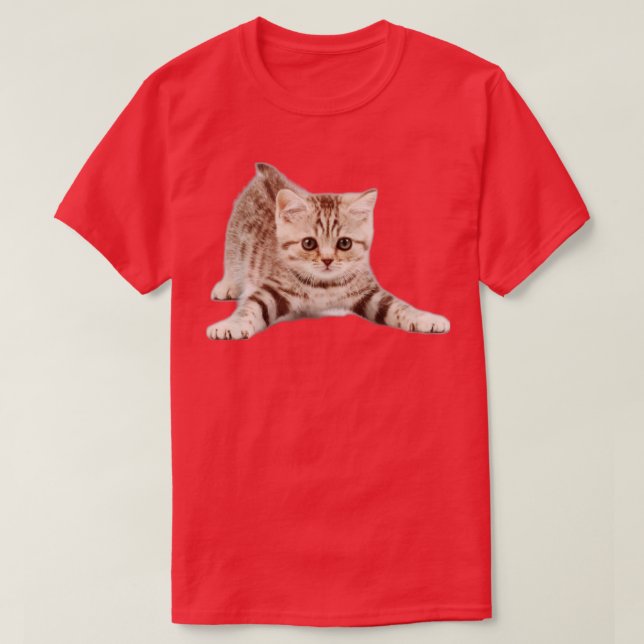 Nice cat kitten T-Shirt (Design Front)