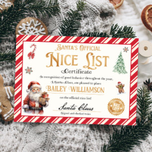Nice Certificate from Santa Approved Checked Twice Invitation