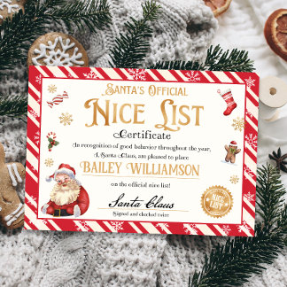 Nice Certificate from Santa Approved Checked Twice Invitation