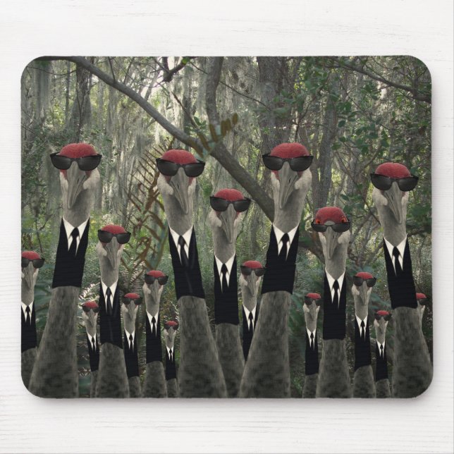Nice Day For a Walk.... Mouse Mat (Front)