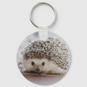 Nice hedgehog photo key ring