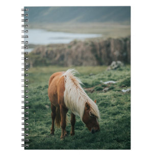 NICE HORSE NOTEBOOK