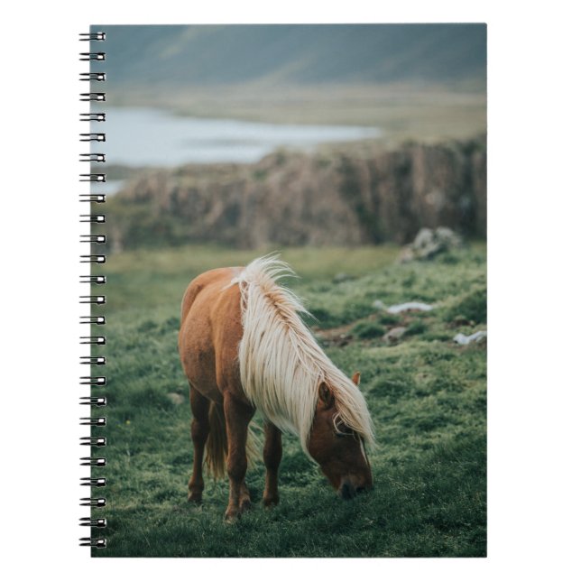 NICE HORSE NOTEBOOK (Front)