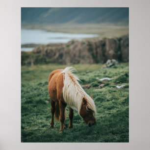 NICE HORSE POSTER