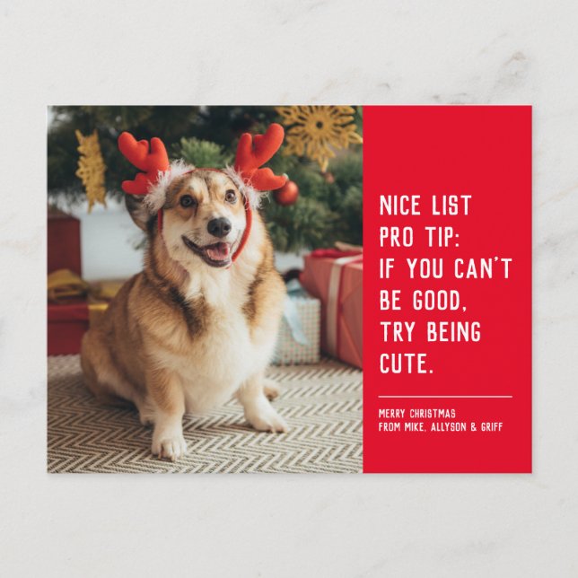 Nice list cute funny red dog Christmas photo Holiday Postcard (Front)