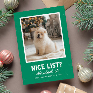 Nice list funny Christmas pet photo Holiday Card