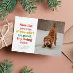 Nice list funny cute colourful photo Christmas Holiday Card<br><div class="desc">Nice list pro tip - try being cute. This colourful and funny Christmas card is perfect for your too cute for the naughty list dog, cat or maybe even kid. Send smiles with this one-photo holiday card featuring playful type and a customisable greeting. The back is a coordinating fun green...</div>