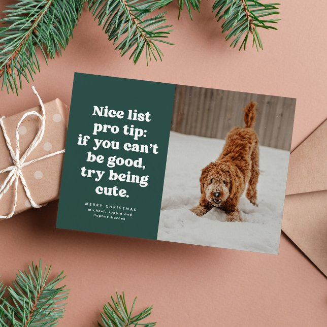 Nice list funny cute green pet photo Christmas Holiday Card (Creator Uploaded)