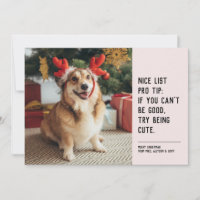 Nice list funny pet black pink Christmas photo