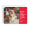 Nice list funny pet Christmas photo