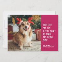 Nice list funny pet pink Christmas photo