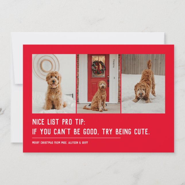 Nice list funny pet three photo Christmas Holiday Card (Front)