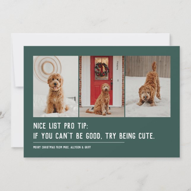 Nice list funny pet three photo green Christmas Holiday Card (Front)