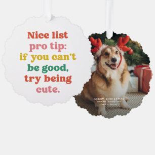 Nice list pro tip cute funny pet photo Christmas Tree Decoration Card
