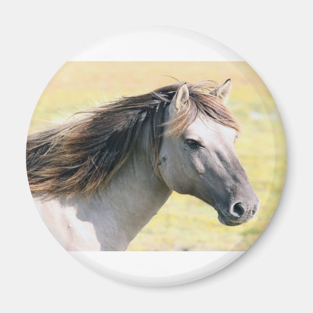 Nice looking horse magnet (Front)