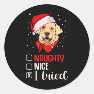 Nice Naughty I Tried Golden Retriever Christmas Pa Classic Round Sticker