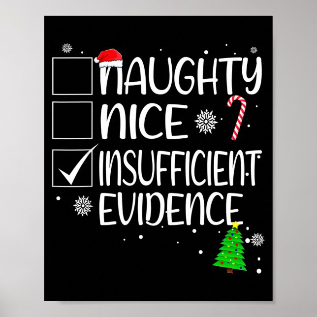 Nice Naughty Insufficient Evidence Christmas Famil Poster (Front)